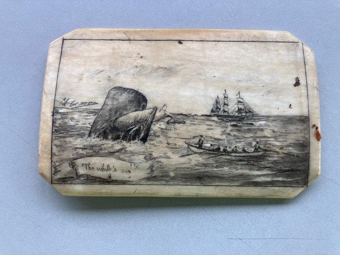 Antiek Relikwie (2) - Walvis ivoor - 20e eeuw - Walbot -, Antiek en Kunst, Curiosa en Brocante