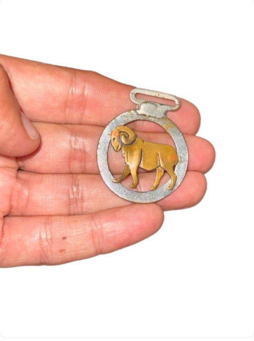 Een curieuze en astrologische vintage hanger die het, Antiek en Kunst, Curiosa en Brocante