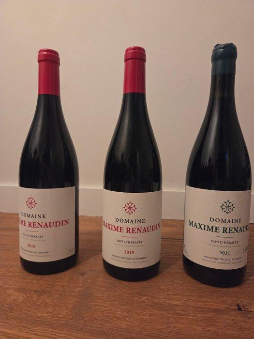2018 2019 & 2021 Domaine Maxime Renaudin - IGP Pays, Verzamelen, Wijnen