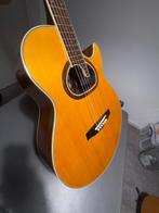 Ibanez - R-620S “Ragtime Special” -  - Guitare acoustique -, Muziek en Instrumenten, Nieuw