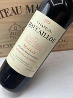 2019 Chateau Maucaillou moulis - Médoc, Bordeaux - 6