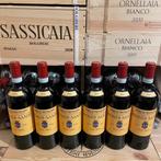 2022 Biondi Santi Tenuta Il Greppo Rosso di Montalcino -, Nieuw
