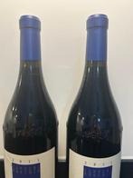 2011 Cannubi Boschi, Luciano Sandrone - Barolo - 2 Flessen, Nieuw