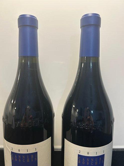 2011 Cannubi Boschi, Luciano Sandrone - Barolo - 2 Flessen, Verzamelen, Wijnen