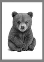 Schu - Bear Cub