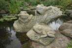 sculptuur, Kikkers op boomstam - 23 cm - Composiet