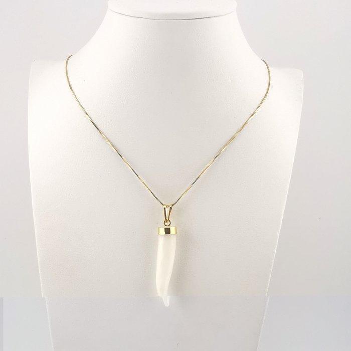 Koraal - Zilver - Ketting met hanger - met de hand, Verzamelen, Mineralen en Fossielen