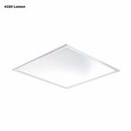 LED Paneel - 60x60 - 36Watt - 120Lumen/Watt - Hoge Lumen -, Ophalen of Verzenden, Nieuw in verpakking