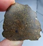 Meteoriet. Rumuruti R3-6. NWA 17584. - 7.85 g - (1)