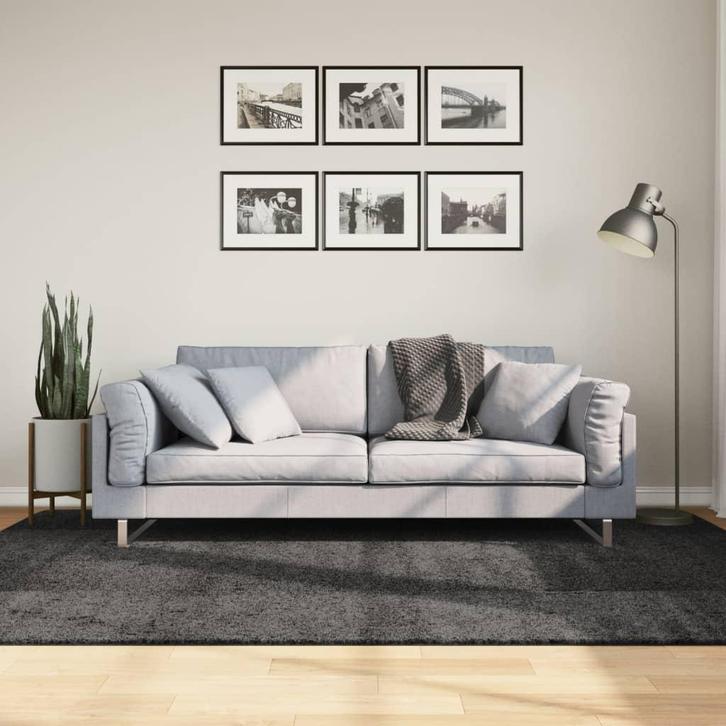 vidaXL Vloerkleed PAMPLONA shaggy hoogpolig 160x230 cm, Huis en Inrichting, Stoffering | Tapijten en Vloerkleden, Nieuw, Verzenden