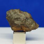 -Gratis verzending!- WINONAITE (primitieve Achondriet). IN, Collections, Minéraux & Fossiles