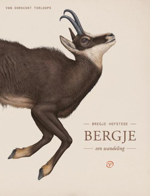 Bergje / Terloops 9789028210332 Bregje Hofstede, Boeken, Reisgidsen, Zo goed als nieuw, Verzenden