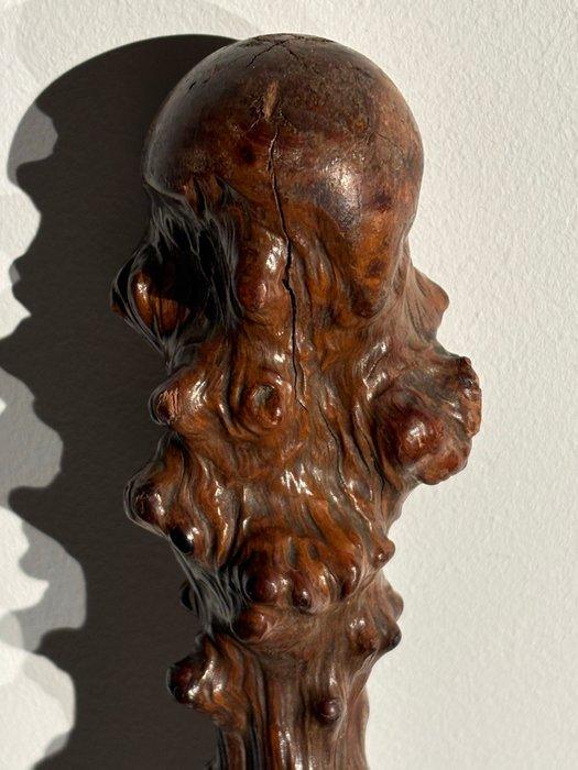 Wandelstok - Hout - Irish shillelagh, Antiek en Kunst, Antiek | Overige Antiek