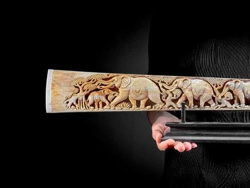 Geen minimale prijs - Fijn groot zwaardvishaals op een, Antiek en Kunst, Kunst | Designobjecten