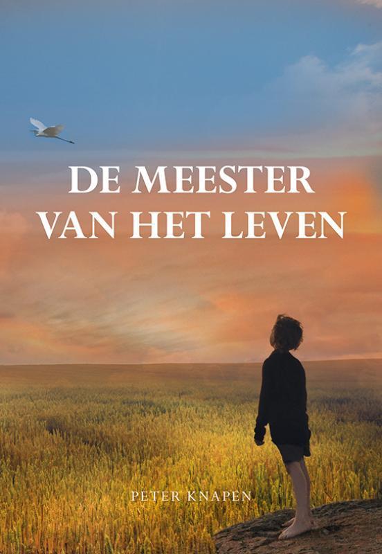 De meester van het leven 9789463652926 Peter Knapen, Boeken, Romans, Gelezen, Verzenden