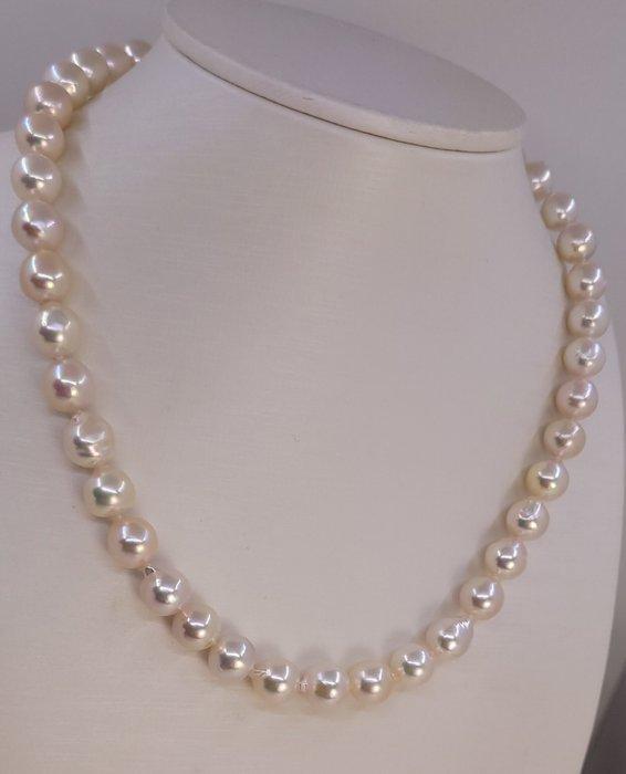 Zonder minimumprijs - Halsketting Zilver, 9x9,5mm heldere, Handtassen en Accessoires, Kettingen