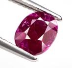 Zonder minimumprijs Robijn - 1.33 ct - Bellerophon Gemlab -, Handtassen en Accessoires, Edelstenen, Nieuw