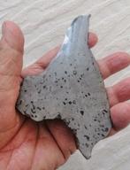 Ataxite of Dronino, 112,1 g Plak - Hoogte: 15.5 cm -, Verzamelen, Mineralen en Fossielen