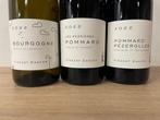 2022 Vincent Dancer, Bourgogne Blanc, Pommard Les Perrieres, Nieuw