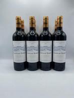 2013 Château Baret Pessac-Léognan - Pessac-Léognan - 8