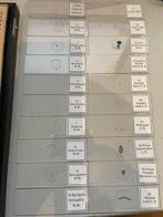 Microscope slide - histology, zoology, botany and biology