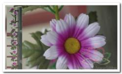 Gerbera zijde bloemen guirlande Wit/paars Gerbera zijde, Huis en Inrichting, Woonaccessoires | Kunstplanten en Kunstbloemen, Nieuw