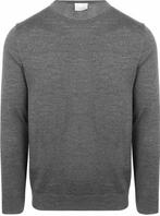 Profuomo Pullover Merinowol Grijs maat Maat 52/54 (L) Heren, Maat 52/54 (L), Verzenden, Nieuw, Profuomo