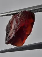 Natural pyrope Garnet - 2.543 ct - Rough Gemstone - facet qu, Verzamelen, Verzenden