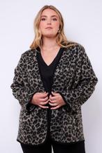 Exxcellent jasje met50/52Maat 46/48 (XL) of groter, Verzenden