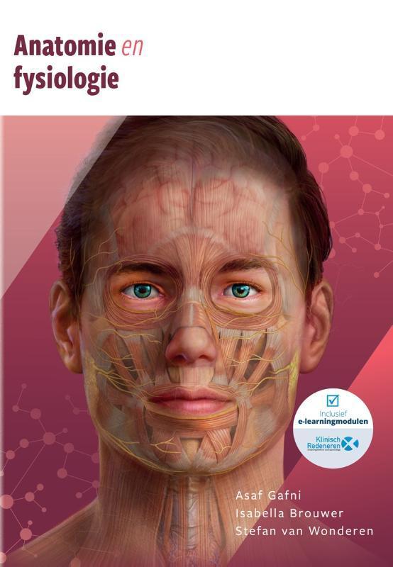 Anatomie en fysiologie 9789083139364 Isabella Brouwer, Livres, Livres scolaires, Envoi
