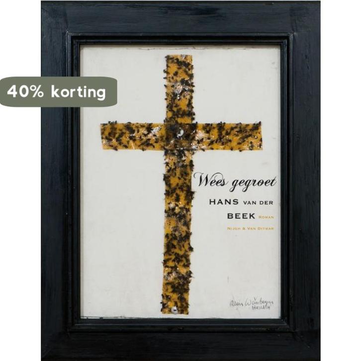Wees gegroet 9789038893426 H. van der Beek, Boeken, Romans, Gelezen, Verzenden