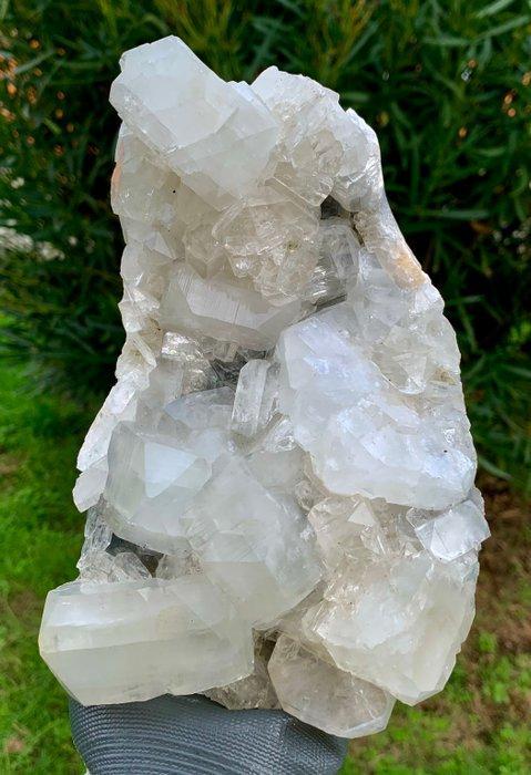 Grote kubieke apophylliet Kristal op matrix - Hoogte: 19 cm, Verzamelen, Mineralen en Fossielen