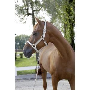 Halster cora - taupe/mint/wit, maat 1 - kerbl, Animaux & Accessoires, Chevaux & Poneys | Autres trucs de cheval