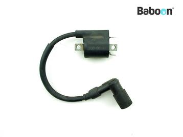 Bobine Yamaha YP 250 R X-MAX 2005-2009 (YP250R 1C0), Verzenden