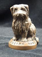 Klein bronzen hondje - Greyfriars Bobby - Sculpture, Fraai