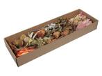 Exotic assortiment de luxe naturel doos 26 stuks -, Nieuw