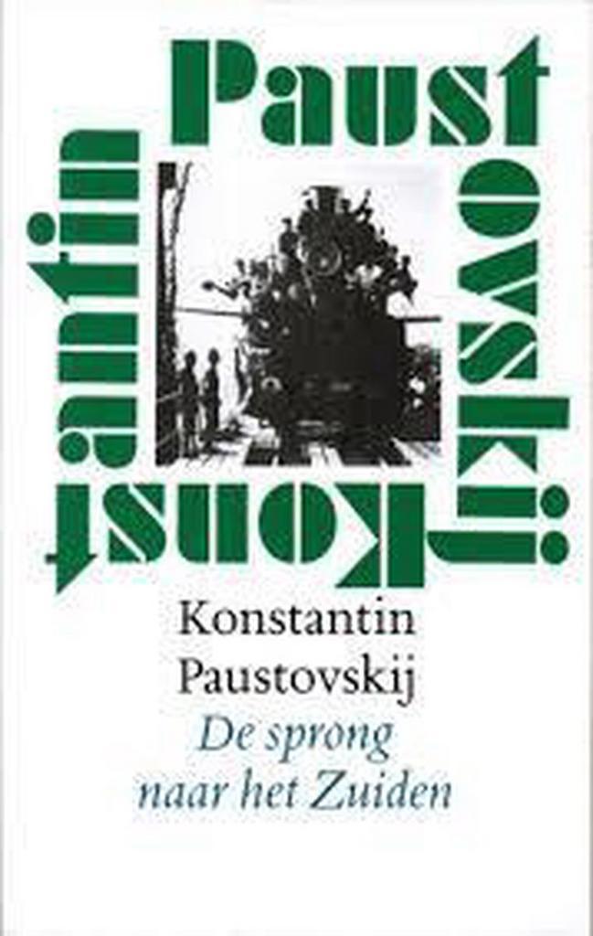 SPRONG NAAR HET ZUIDEN 9789029534031 K. Paustovskij, Boeken, Literatuur, Gelezen, Verzenden