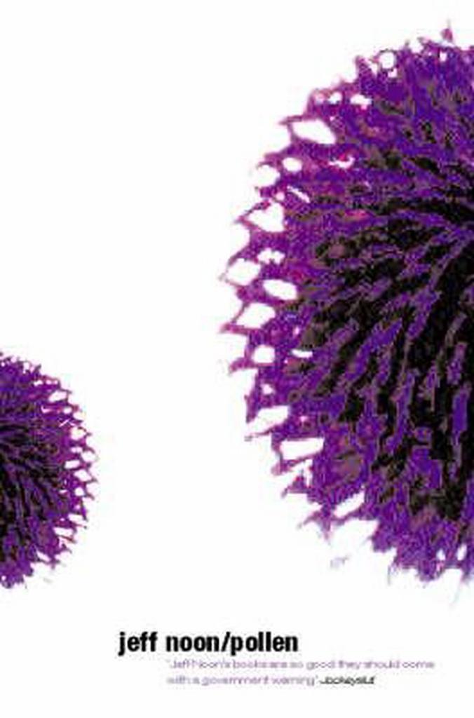 Pollen 9780330338820 Jeff Noon, Boeken, Taal | Engels, Gelezen, Verzenden
