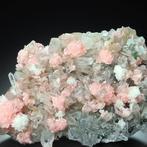 Uitstekend RHODOCHROSITE met QUARTET en CALCITE specimen uit
