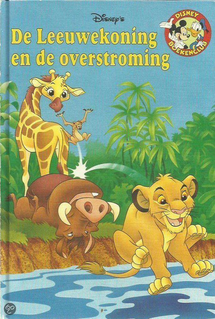 De Leeuwenkoning en de overstroming 9789054287247, Boeken, Overige Boeken, Gelezen, Verzenden