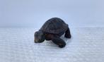 Figure - P. Chenet - Schildpad - 13,5 cm - Bronze
