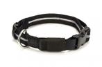 LED Halsband ZWART, Verzenden, Nieuw