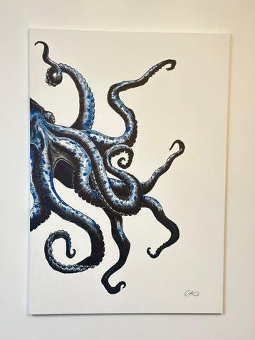 Karolina Serwaska - Octopus Dexter