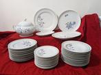 Seltmann Weiden Bavaria - Tafelservies voor 12 (41) -