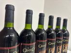 1990 & 1991 (x5) Can Ràfols dels Caus, Gran Caus - Penedes -, Verzamelen, Nieuw