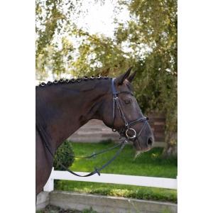 Glittermanenbanden 20 stuks -  1 rij met gekleurde strass, Animaux & Accessoires, Chevaux & Poneys | Autres trucs de cheval