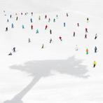 Rosario Civello - The Big Tree - XL, Antiek en Kunst, Kunst | Schilderijen | Modern