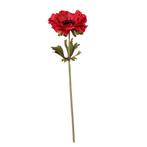 Anemoon rood 37cm./st Anemoon rood 37cm./st, Nieuw