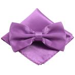 Fako Fashion® - Vlinderstrik Met Pochette - Vlinderdas -, Kleding | Heren, Verzenden, Nieuw