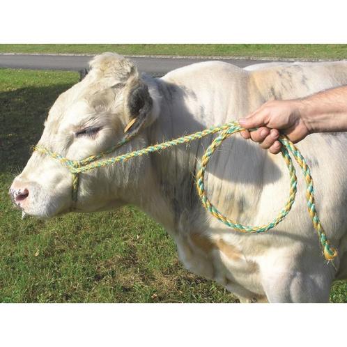 Veetransportleidtouw wit, van sisal 16 mm, 4 m - kerbl, Dieren en Toebehoren, Stalling en Weidegang